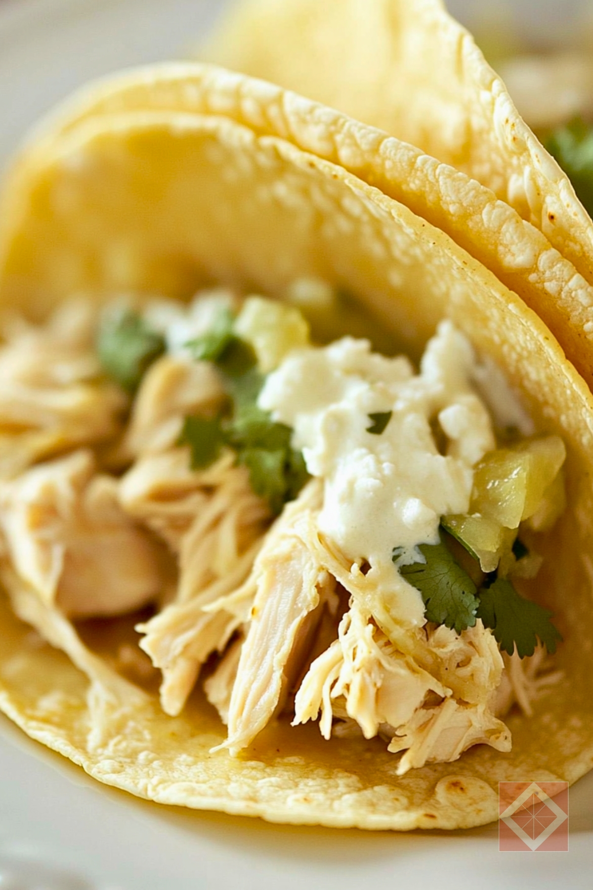 Best Easy Tomatillo Chicken Soft Tacos for Two: One-Pot Recipe - Tomatillo Chicken Soft Tacos for Two pin 2 midia