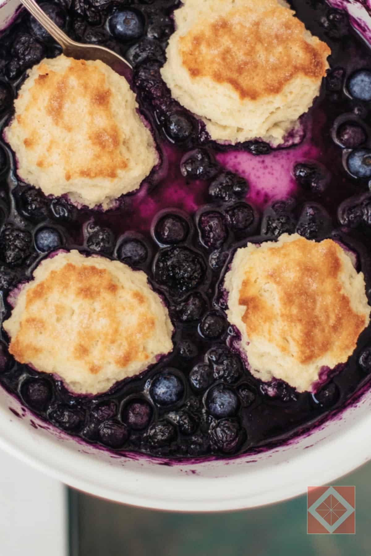 Blueberry Grunt One-Pot Recipe for a Simple Family Dessert - Blueberry Grunt pin 2 midia