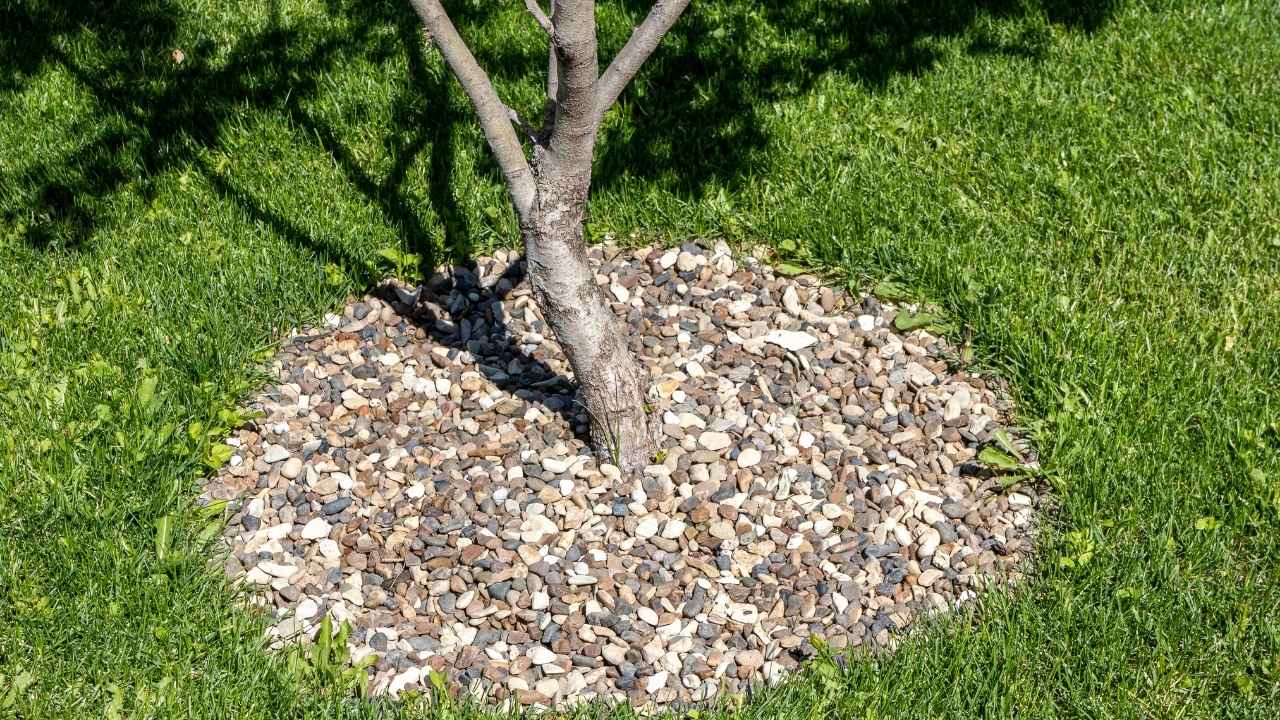 17 River Rock Landscaping Ideas That Turn Simple Yards Into Showpieces - river rock landscaping ideas ss1601577136 dnoh