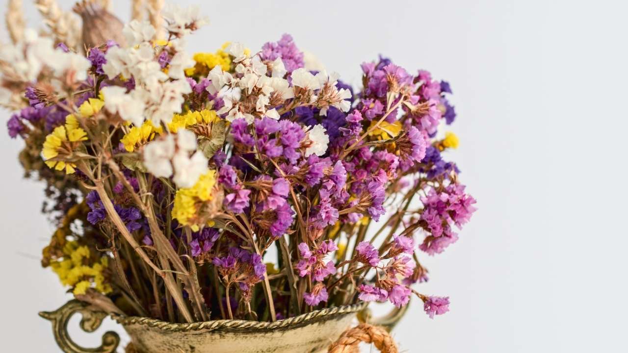 how to dry flowers the right way: save your bouquet, your garden, your memories - Dried flowers ss1171191727 dnoh