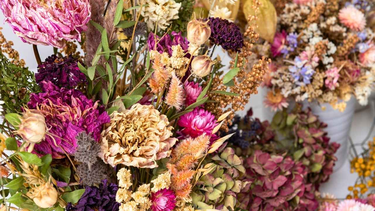 how to dry flowers the right way: save your bouquet, your garden, your memories - Dried flowers ss2424145143 dnoh