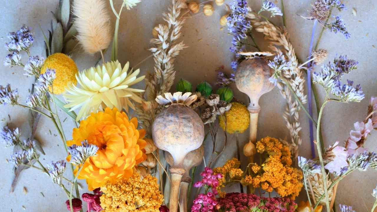 how to dry flowers the right way: save your bouquet, your garden, your memories - Dried flowers ss2584892481 dnoh