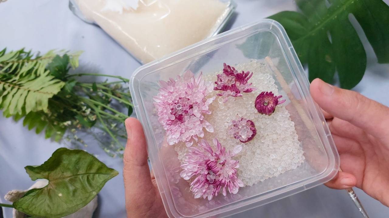 how to dry flowers the right way: save your bouquet, your garden, your memories - Dried flowers ss2654880603 dnoh