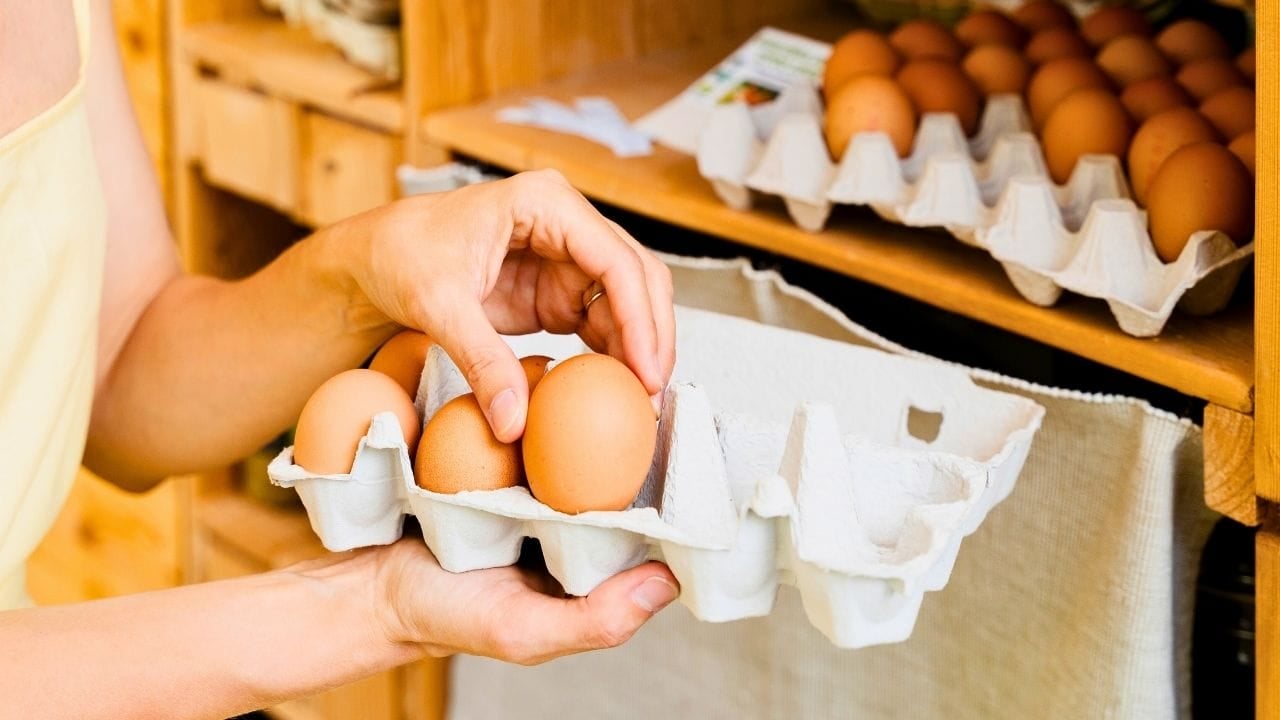 18 things you must master to succeed before you ever homestead - eggs ss 2569171217 dnoh