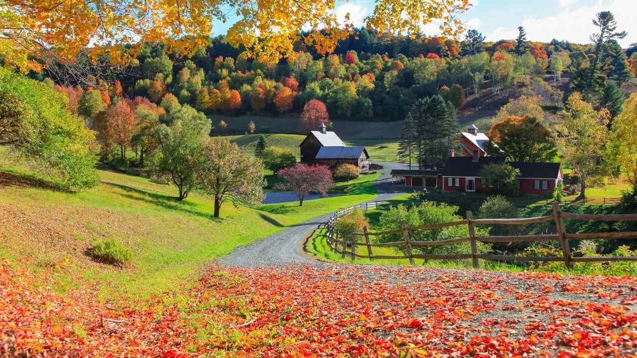 18 things you must master to succeed before you ever homestead - homestead ss 2041464347 dnoh