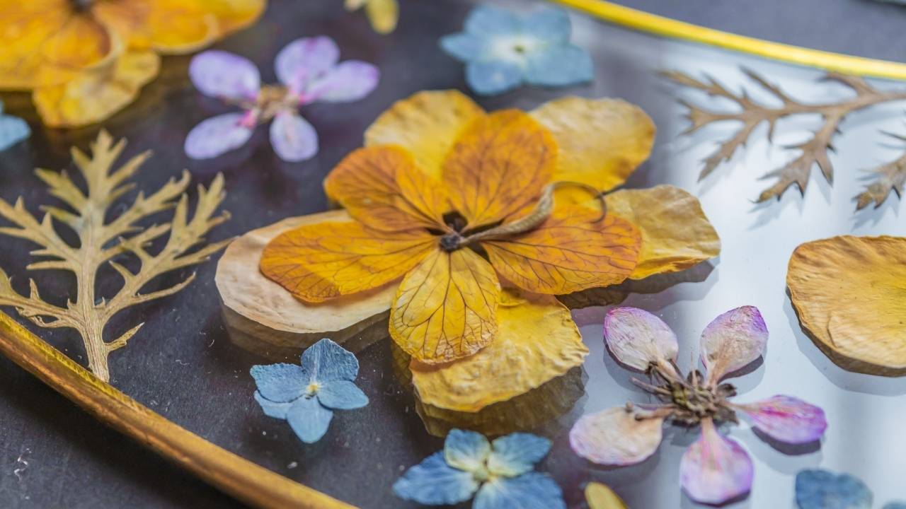 how to dry flowers the right way: save your bouquet, your garden, your memories - pressed flowers ss2326550237 dnoh